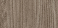 Grey Elm